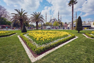 Istanbul, Türkiye'de Sultan bir güzel yaz günü Ahmed Camii Sultanahmet Camii