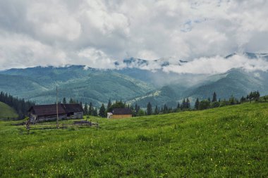 bulutlu bir günde ormanlık haddeleme tepede. Dağlık kırsal güzel doğa toplayan. erken sonbaharda güzel hava