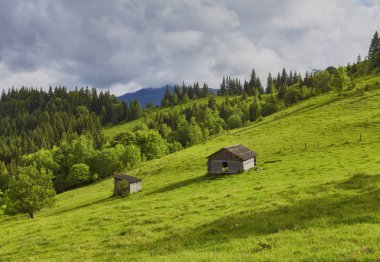 Dağlar yeşil bir çayırda bir ahşap ev. Eski orman yakınlarında bir evi var. Karpat köyün yaşam tarzı.
