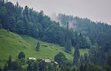 Doğa panorama yeşil orman dağ sis bulutu seyahat turizm çevre