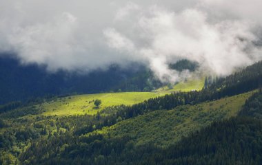 bulutlu bir günde ormanlık haddeleme tepede. Dağlık kırsal güzel doğa toplayan. erken sonbaharda güzel hava