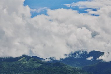 bulutlu bir günde ormanlık haddeleme tepede. Dağlık kırsal güzel doğa toplayan. erken sonbaharda güzel hava