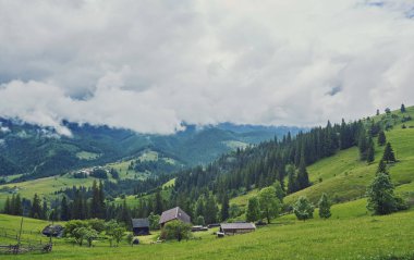 Dağlar yeşil bir çayırda bir ahşap ev. Eski orman yakınlarında bir evi var. Karpat köyün yaşam tarzı.