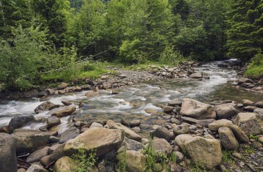 Dağ ormanının derinliklerinde bir nehir. Doğa bileşimi.