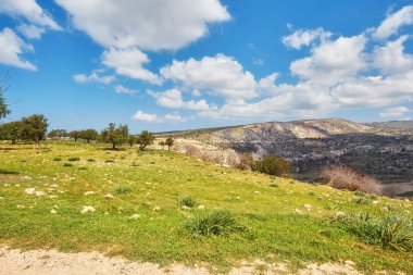 Güneşli ufuk patika Avakas Gorge güneşli büyüme arasında yamaçlarında. Akamas yarımadası, Kıbrıs.