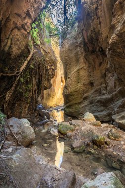 Kıbrıs'ta Avakas Gorge güneşli çok renkli kaya.