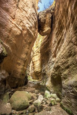 Kıbrıs'ta Avakas Gorge güneşli çok renkli kaya.