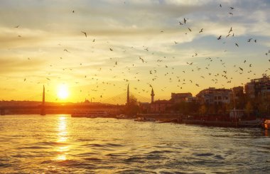 Deniz ve martı ile Istanbul'da günbatımı