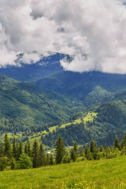 dağlık manzara ormanlık tepeleri ile. bulutlu bir günde güzel yaz sahne