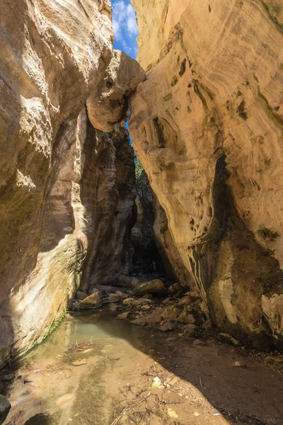 Avakas Gorge Chipre Pequeño Río Primer Plano Rocas Iluminadas Por — Foto de Stock