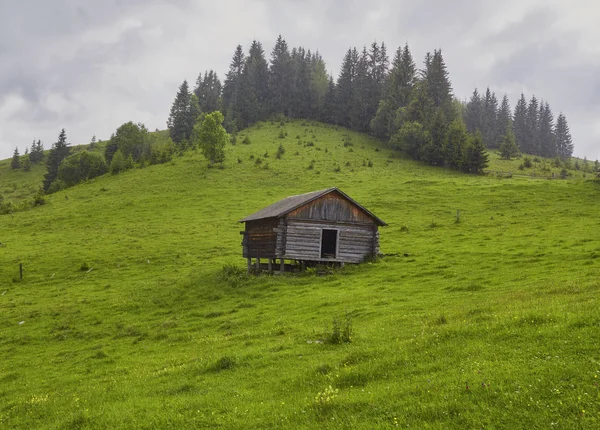 Dřevěný Dům Zelené Louce Horách Dům Nedaleko Starého Lesa Životní — Stock fotografie