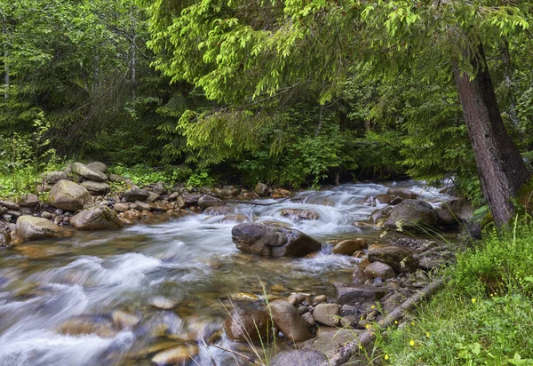 Ποταμός Βαθιά Στο Ορεινό Δάσος Σύνθεση Της Φύσης — Φωτογραφία Αρχείου