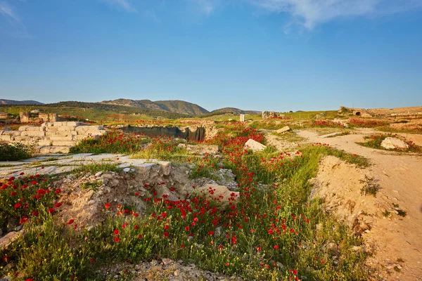 Ruïnes Van Oude Stad Van Hiërapolis Rode Papavers Pamukkale Turkije — Stockfoto