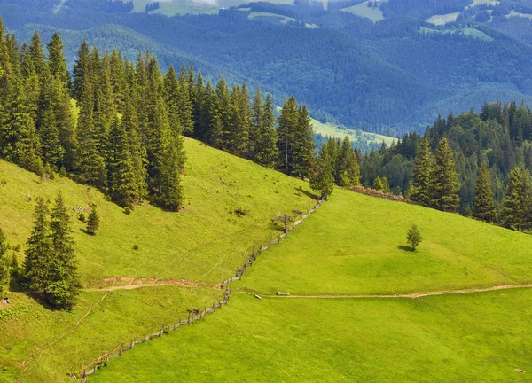 stock image composite landscape. fence near the cross road on hillside meadow in mountains. few fir trees of forest on sides of the road