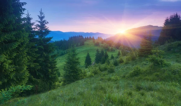 Pôr Sol Colorido Verão Nas Montanhas Dos Cárpatos — Fotografia de Stock