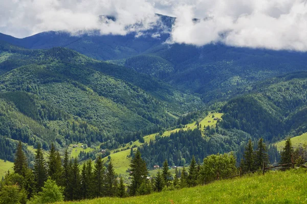 Erdős Gördülő Hill Felhős Gyönyörű Természeti Táj Hegyes Vidékre Gyönyörű — Stock Fotó
