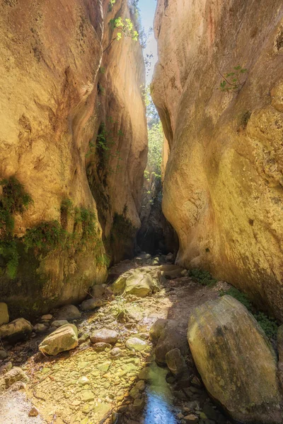 Avakas Gorge Chipre Pequeño Río Primer Plano Rocas Iluminadas Por — Foto de Stock