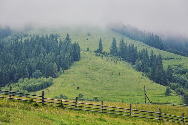 Панорама Природи Зелений Ліс Гірський Туман Хмарні Подорожі Туристичне Середовище — стокове фото