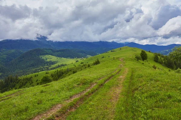 复合的景观 在山的山坡草地上的交叉路附近的栅栏 几株冷杉树的道两旁的森林 — 图库照片