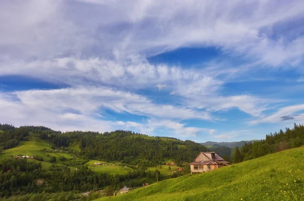 Une Maison Bois Sur Une Prairie Verdoyante Montagne Une Maison — Photo