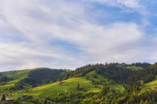 Ein Holzhaus Auf Einer Grünen Wiese Den Bergen Ein Haus — Stockfoto