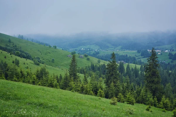 Природная Панорама Зеленый Лес Горы Туман Облака Туристической Среды — стоковое фото