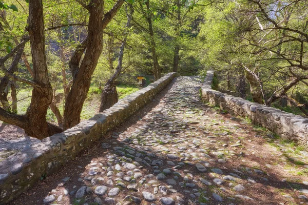 Kelefos Bridge Most Famous Still Remaining Medieval Bridges Cyprus Paphos — Stock Photo, Image