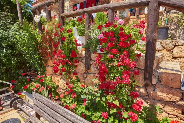 Strom Krásné Červené Květy Rostoucí Proti Budování Fasáda — Stock fotografie