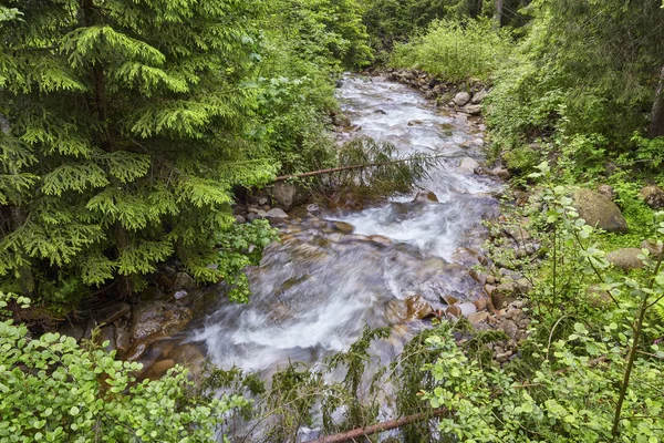 Ποταμός Βαθιά Στο Ορεινό Δάσος Σύνθεση Της Φύσης — Φωτογραφία Αρχείου