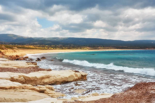 Zypern Mittelmeerküste Lara Strand Paphos Distrikt — Stockfoto