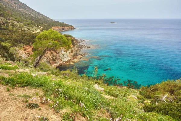 Cyprus Akamas Peninsula National Park Mountain Top — Stock Photo, Image