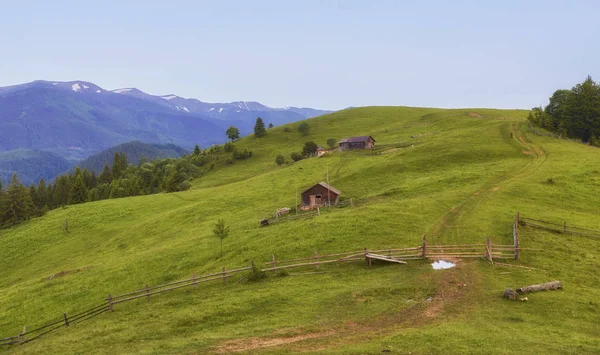 Barevné Letní Západ Slunce Karpatských Horách — Stock fotografie