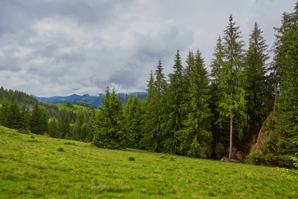 Skogsklädda Rullande Hill Molnig Dag Härlig Natur Scenery Bergiga Landskapet — Stockfoto