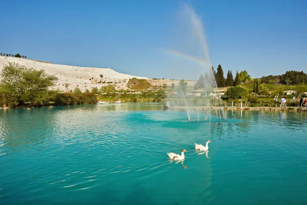 Gäss Sjön Förkalkade Kalksten Terrasser Bakgrund Pamukkale Turkey — Stockfoto