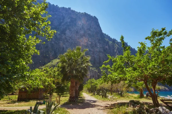 夏の蝶の谷の海のビーチビューとクルーズボート Oludeniz Turkey — ストック写真