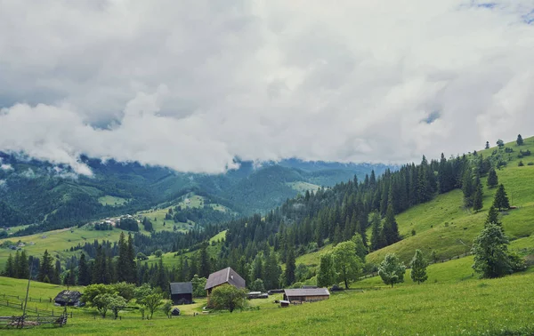 Dřevěný Dům Zelené Louce Horách Dům Nedaleko Starého Lesa Životní — Stock fotografie