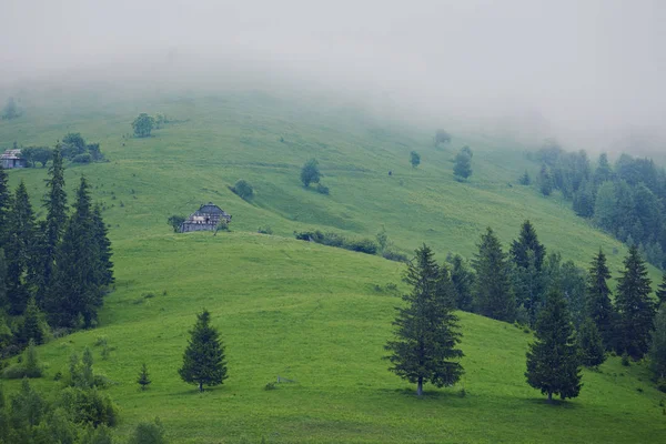 山上绿色草地上的一座木屋 老森林附近的一所房子 在这个村庄的生活方式 — 图库照片