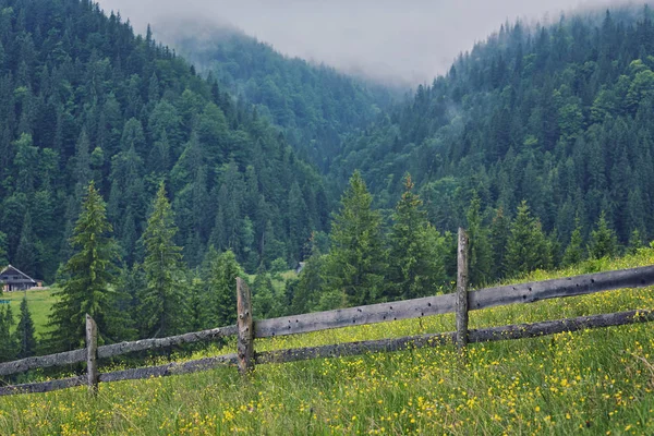 Mistige Bos Bij Zonsopgang Karpaten Oude Hek Ochtend Bergen Panorama — Stockfoto