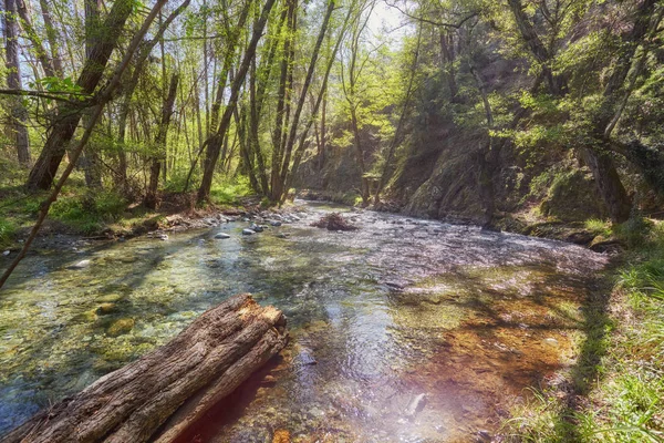 Voda Horské Řece Vytvoření Malé Vodopády Pohoří Troodos Kypr — Stock fotografie