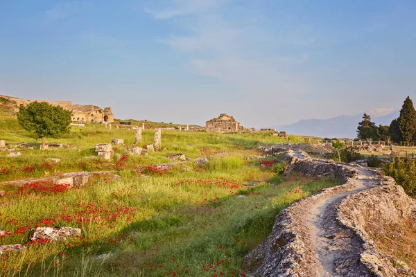 Ερείπια Από Την Αρχαία Πόλη Της Ιεράπολης Και Κόκκινες Παπαρούνες — Φωτογραφία Αρχείου