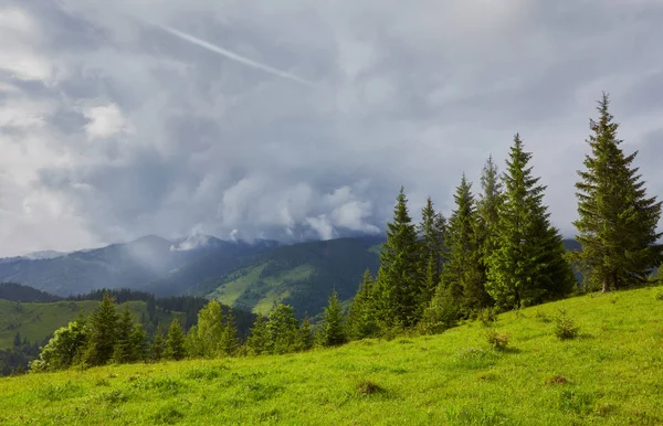 在多云的一天 森林连绵起伏的山丘 可爱的山地乡村自然风光 秋初的华丽天气 — 图库照片
