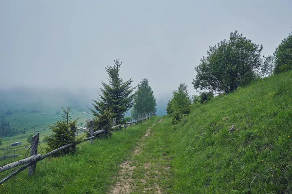 Барвисті Літні Захід Сонця Карпатах — стокове фото