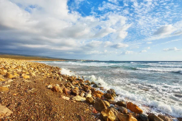 Cypr Wybrzeże Morza Śródziemnego Lara Beach Dzielnicy Pafos — Zdjęcie stockowe