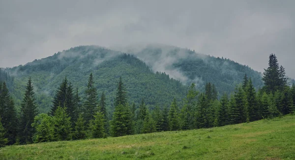 Natureza Panorama Verde Floresta Montanha Nevoeiro Nuvem Viagens Turismo Ambiente — Fotografia de Stock