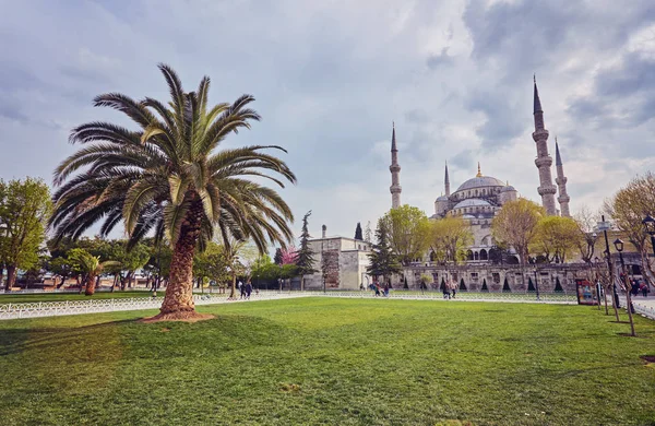 Sultan Ahmed Mosque Blue Mosque Istanbul Turkey Beautiful Summer Day — Stock Photo, Image