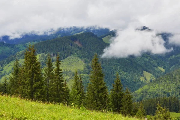 Гірський Пейзаж Лісистими Пагорбами Красиві Літні Пейзажі Похмурий День — стокове фото