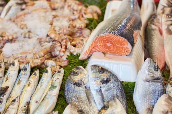 Pescado Fresco Hielo Mercado — Foto de Stock