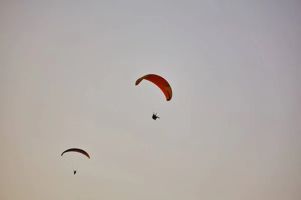 滑翔伞剪影在雾蒙蒙的山谷在美丽温暖的日落颜色飞行 活跃的壁纸充满自由 背景与空间为您的蒙太奇 — 图库照片
