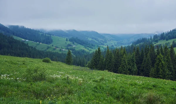 Лісовий Пагорб Похмурий День Прекрасні Природні Пейзажі Гірської Сільської Місцевості — стокове фото