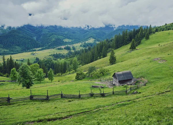 Casă Lemn Pajiște Verde Munți Casă Lângă Pădurea Veche Stil — Fotografie, imagine de stoc